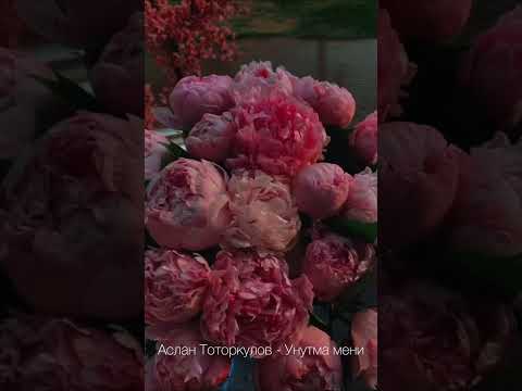 Видео: Аслан Тоторкулов - Унутма мени