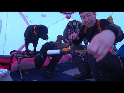 Видео: Рыбалка в палатке куб-4 с домашним комфортом 2020.