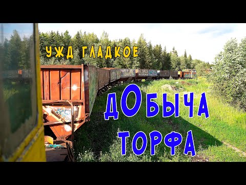 Видео: Как добывают торф. Добрались до узкоколейки в п. Гладкое!