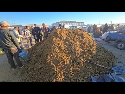 Видео: 19 октября 2025 г. ТУРТКУЛЬ ЕМ ХАШАК ВА УТИН НАРХЛАРИ АРЗОНЛАДИ 
