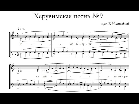 Видео: Т.Метелёва Херувимская песнь №9 (+ект.)