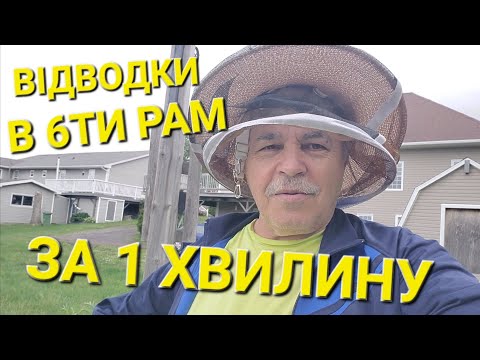 Видео: Швидке розширення пасіки в 6ти рам #пчеловодствов6тирамочныхульях