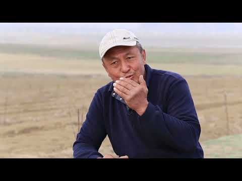 Видео: Кайрак жерден 65 метр жер казып, суу чыгырган баткендик багбан