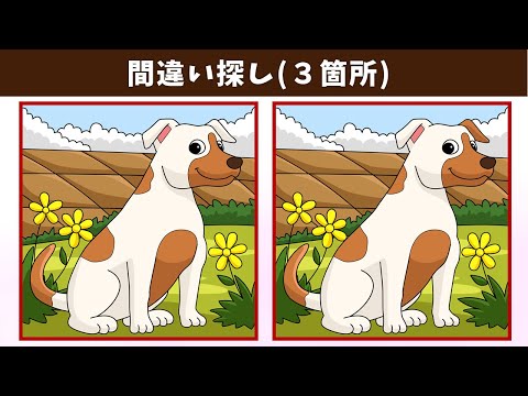 Видео: Найдите 3 отличия | Иллюстрация Версия #1140