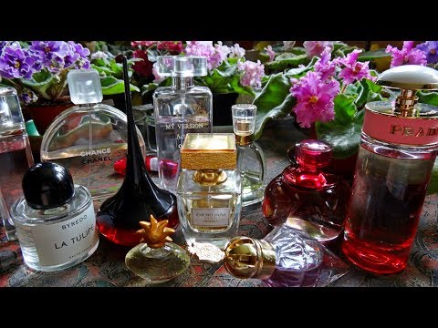 Видео: любимые ароматы лета 2017 года
