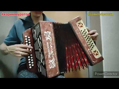 Видео: ОДИНОКАЯ ГАРМОНЬ - РАЗБОР НА ГАРМОНИ ЦИФРАМИ #баянпобратски #кариммуратов