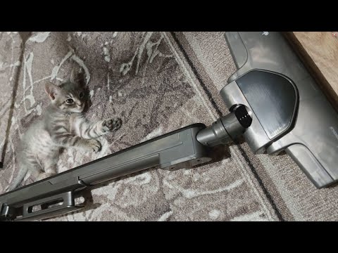 Видео: Розпакування та огляд пилососа Deerma Stick Vacuum Cleaner Cord Gray