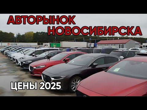 Видео: ✅ АВТОРЫНОК НОВОСИБИРСКА. ОСЕНЬ 2025