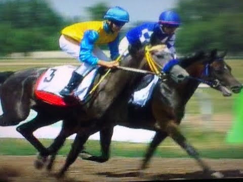 Видео: 22 июля  2007 г