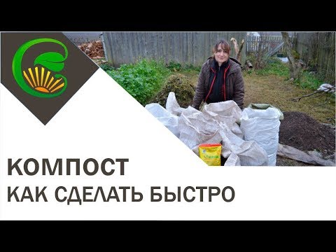 Видео: Как сделать компост  Быстрый способ