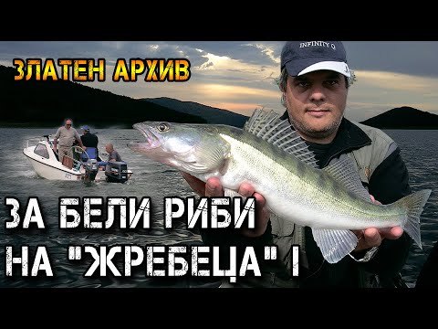 Видео: За БЕЛИ РИБИ на "Жребеца" / Риболов на тролинг