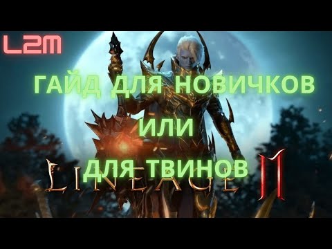 Видео: Гайд для новичков или твинов.