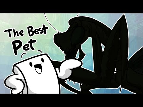 Видео: Мой любимый питомец (он же Лучший питомец)