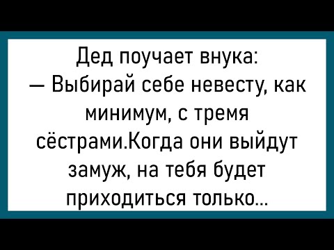 Видео: 💎Сидит Врач В Кабинете...Большой Сборник Смешных Анекдотов,Для Хорошего Настроения!