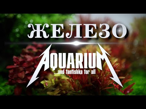 Видео: Железо в аквариуме