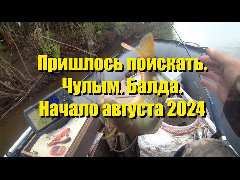 Видео: Пришлось поискать  Чулым  Балда  Начало августа 2024