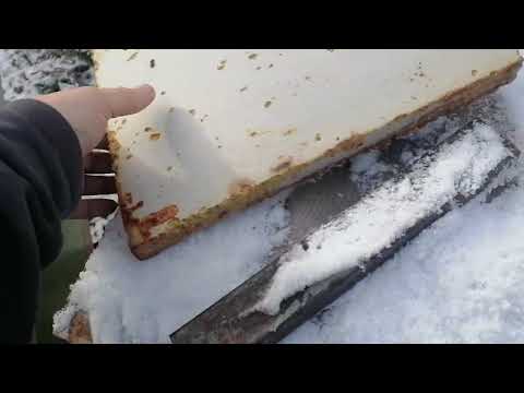 Видео: Конец пчеловодству и моей пасеке (04.11.2024)