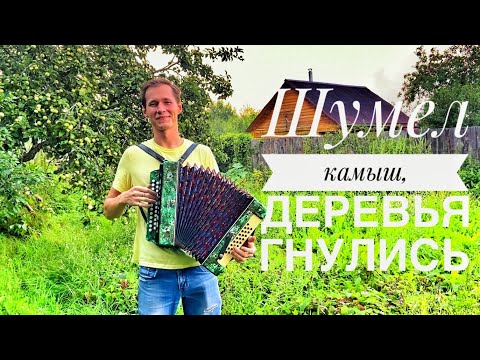 Видео: ПЕСНЯ ИЗ НАРОДА || ШУМЕЛ КАМЫШ, ДЕРЕВЬЯ ГНУЛИСЬ || НА РАЗРЫВ ДУШИ ПОЕТ || ДЕРЕВЕНСКАЯ ЖИЗНЬ || ПЕСНЯ