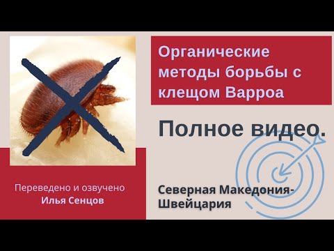 Видео: Органические методы борьбы с клещом Варроа (Северная Македония). Полное видео.
