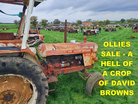 Видео: РАСПРОДАЖА ОЛЛИ - АДСКИЙ УРОЖАЙ ДЭВИДА БРАУНА