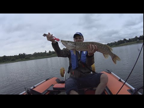 Видео: Эхолот вывел на КРУПНЯКА — Осуга не подвела!