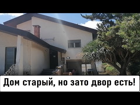 Видео: Дешевый частный дом в аренду. Шлюки и изобилие на рынке. Израиль