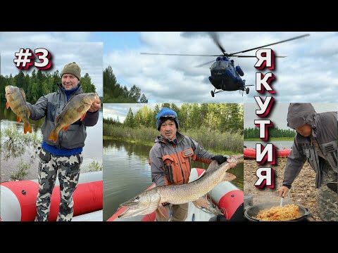 Видео: Рыбалка в Якутии/Наводнение/Вертолет не прилетел/Окуни по полтора кг/Встреча с "Лефу"/ Я остаюсь/#3