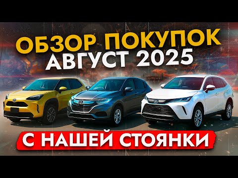 Видео: ЦЕНЫ НА САМЫЕ популярные АВТО в августе 2025❓❗️ Harrier, Vezel, StepWGN, Yaris Cross и др.