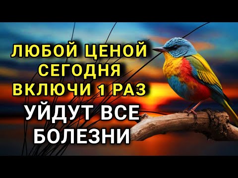 Видео: ☝️ ЛЮБОЙ ЦЕНОЙ ВКЛЮЧИ 1 РАЗ! УЙДУТ ВСЕ БОЛЕЗНИ! Сильнейшая молитва об исцелении 🔑✨🤲