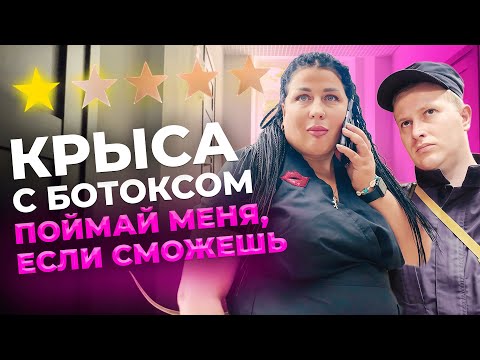 Видео: КРИМИНАЛЬНЫЕ КОСМЕТОЛОГИ:  ИГРА В ПРЯТКИ 🏃‍♀️ ПОЙМАЙ МЕНЯ, ЕСЛИ СМОЖЕШЬ