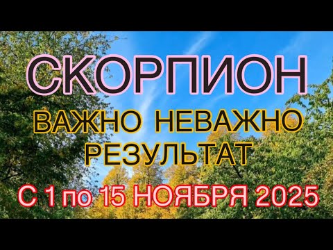 Видео: СКОРПИОН С 01  ПО 15  НОЯБРЯ  2025 | ВАЖНО! | НЕ ВАЖНО! | РЕЗУЛЬТАТ | ПРОГНОЗ ОТ NATALLIA  MARKOWSKA