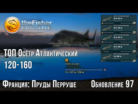 Видео: Fisher Online - Франция : Пруды Перруше (2024) - Осётр Атлантический # 15/1