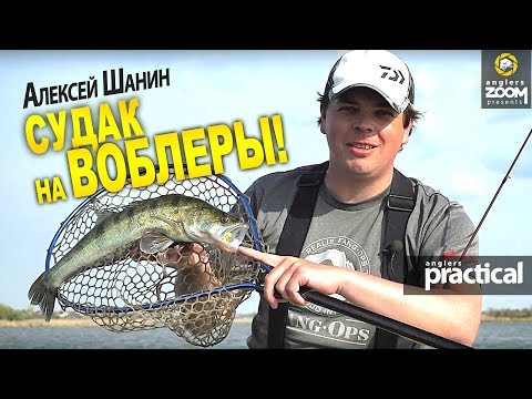 Видео: Как ловить судака на воблеры днем? Алексей Шанин. Anglers Practical