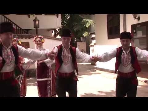 Видео: Стефан Георгиев- Малиизворска ръка