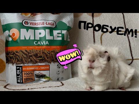 Видео: Versele-Laga Cavia Complete / ОТЗЫВ О КОРМЕ