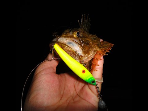 Видео: Не обычная ловля морского ерша на воблера