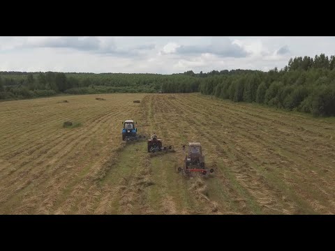 Видео: Грабли ворошилки Лидер Палехагромаш