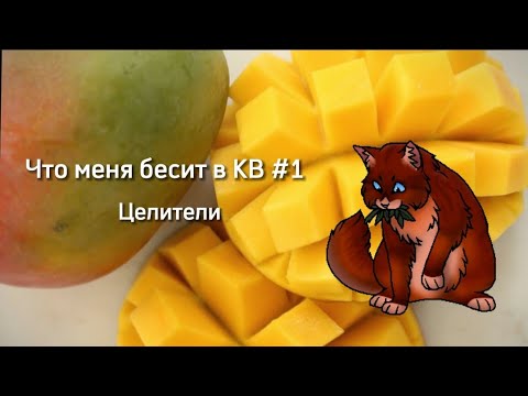 Видео: Что меня бесит в КВ || Целители || Коты-Воители