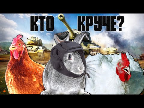 Видео: Куры, бройлеры или кролики / Кто выгоднее?