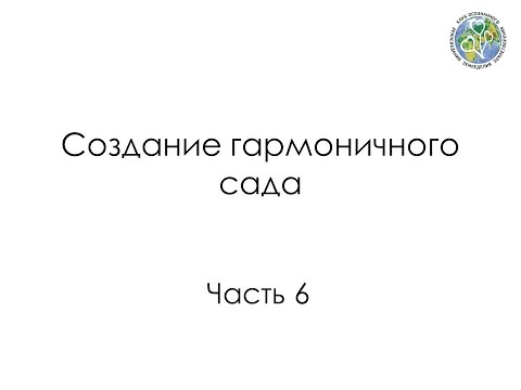 Видео: Создание гармоничного сада