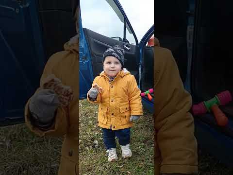 Видео: Творческая семья Сайко