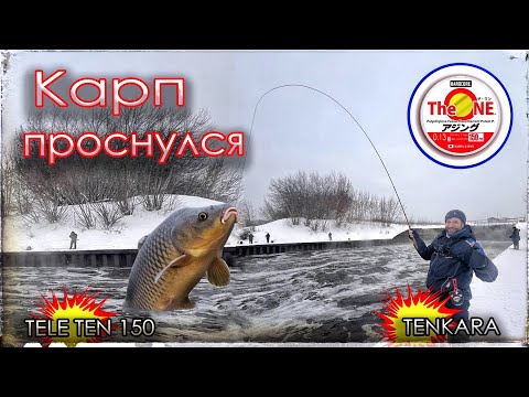 Видео: Карп проснулся. Курьяновский сброс. Мормышинг и Тенкара. Duel Hardcore #0.13