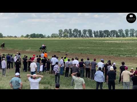 Видео: Скачки в Аксае. 18.06.2023г Лошади 3-х лет, 2000м