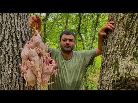Видео: Жареная Картошка с Овощами на Сале🔥 Рецепт Шашлыка из Перепелок👍