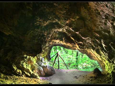 Видео: Стоян на майка си думаше - Живко Петров