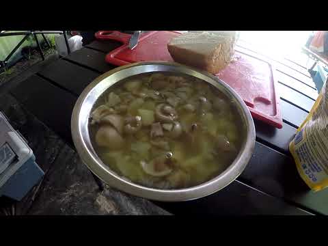 Видео: Камская рыбалка ,маслята и шашлык.