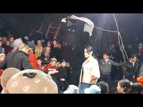 Видео: озбек гава той