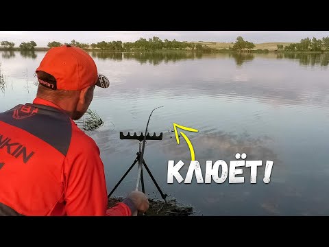 Видео: Ловля карася и карпа на озере. Рыбалка на фидер. Вечёрка.