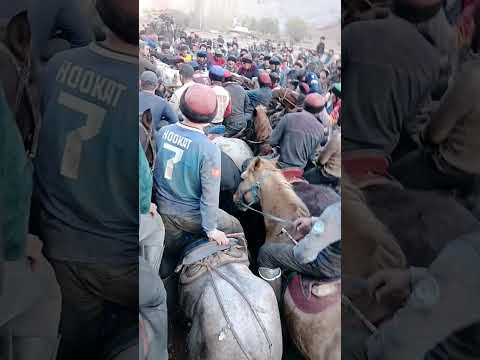 Видео: 2 ноября 2025 г.