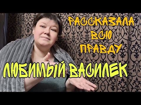 Видео: РАССКАЗАЛА ВСЮ ПРАВДУ👉ЛЮБИМЫЙ ВАСИЛЕК обзор заказа👉Большая ПРИМЕРКА ОДЕЖДЫ ДОРОГО БОГАТО для ПЫШЕЧЕК